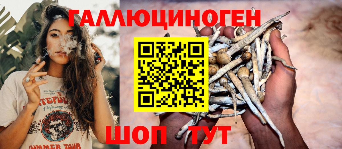 Псилоцибиновые грибы MAGIC MUSHROOMS  Псилоцибиновые грибы Psilocybe  Воскресенск  Вход с VPN 